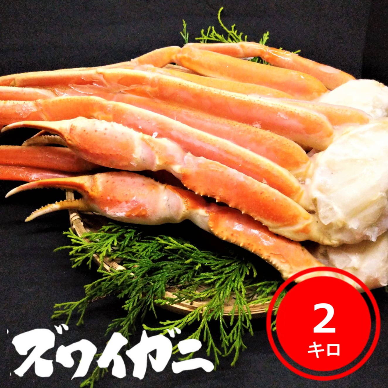 本ズワイガニ足 (約2kg) 冷凍ボイル済み ◇ずわい 蟹 カニ かに
