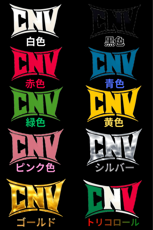 【オプション】 NEW CASANOVAロゴ刺繍