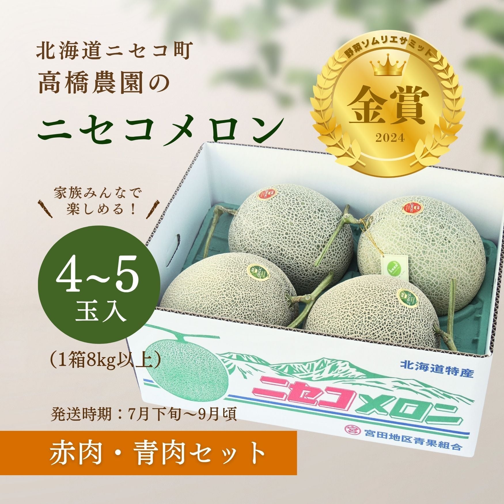 メロン4～5玉＜色指定可＞＜7月下旬～9月通常発送＞ | 北海道ニセコ町