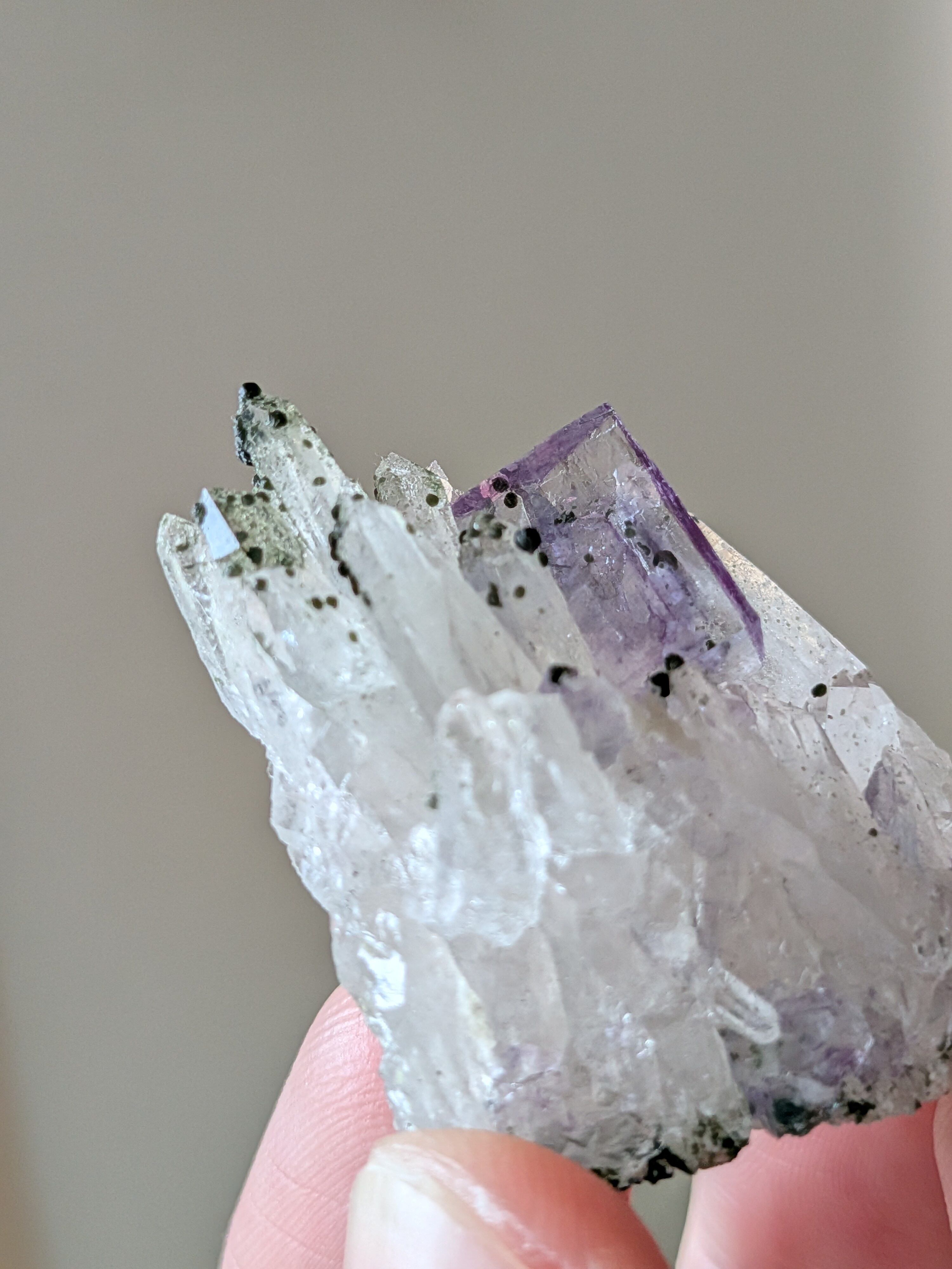 フローライト・緑泥石入り水晶 ⭓ 原石 ⭔ 中国・ヤオガンシャン産
