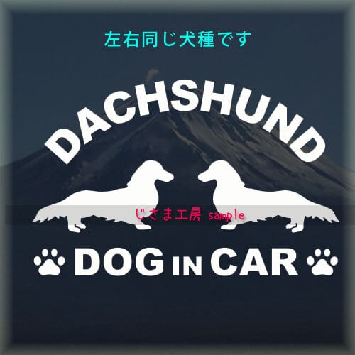 ミニチュアダックスフンド (ゴシック体） 2頭飼 多頭飼
