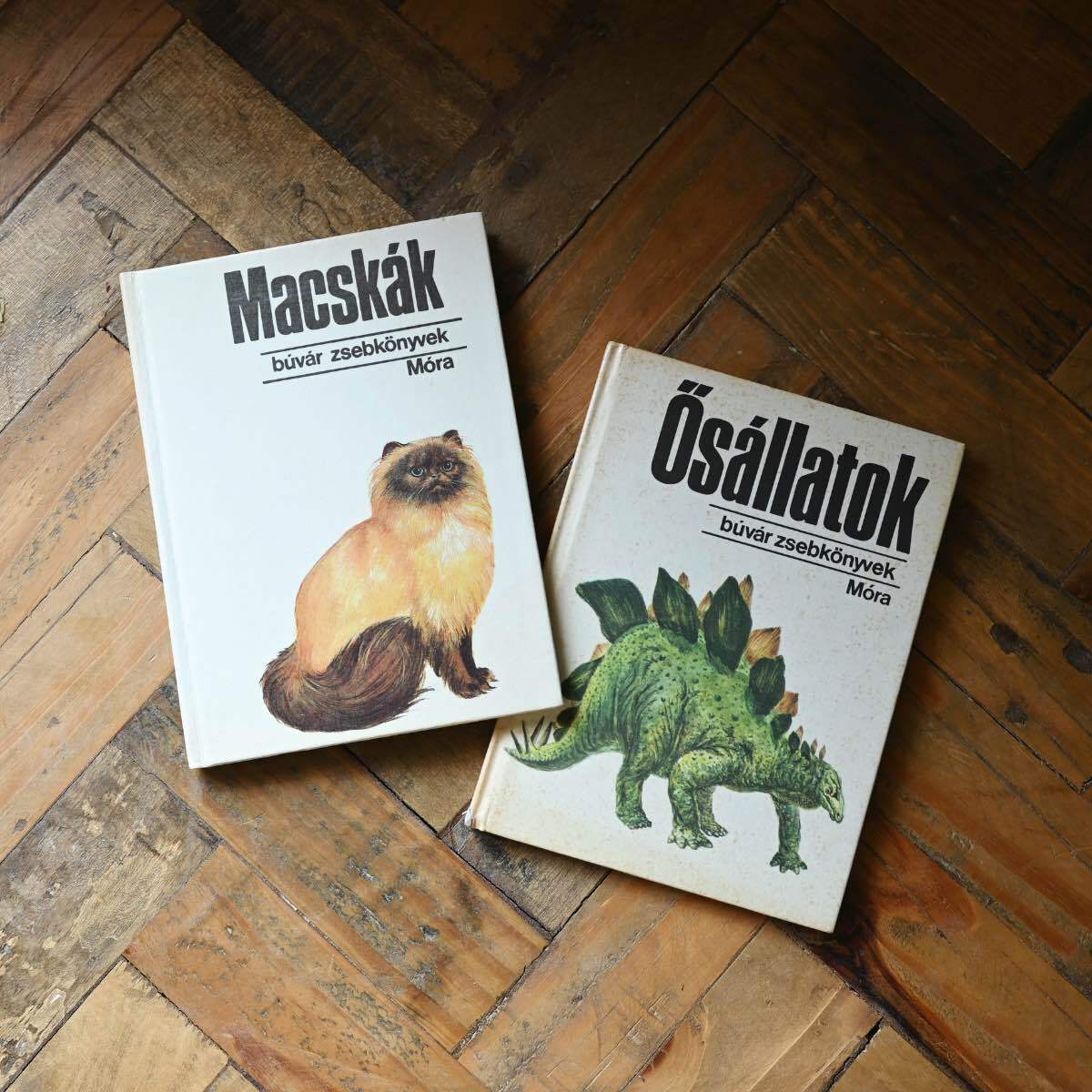 【 VINTAGE 】ポケット図鑑シリーズ(猫)|きのこ 古書 ヴィンテージ インテリア 雑貨屋