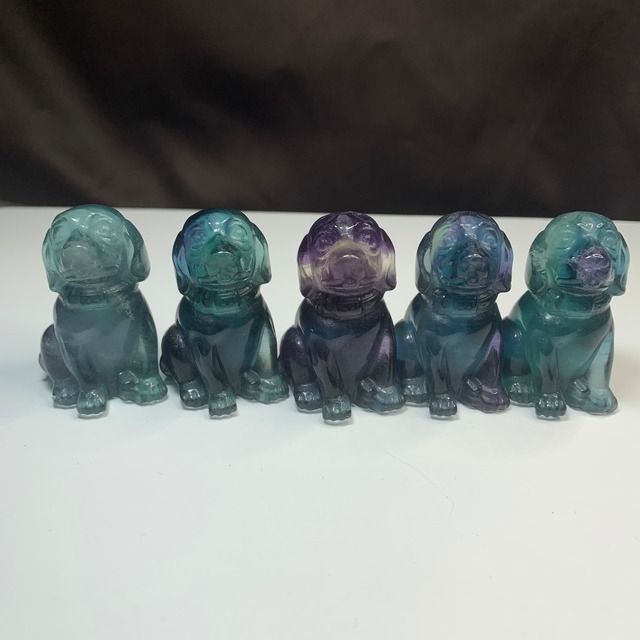 可愛い大家族☆フローライト・犬