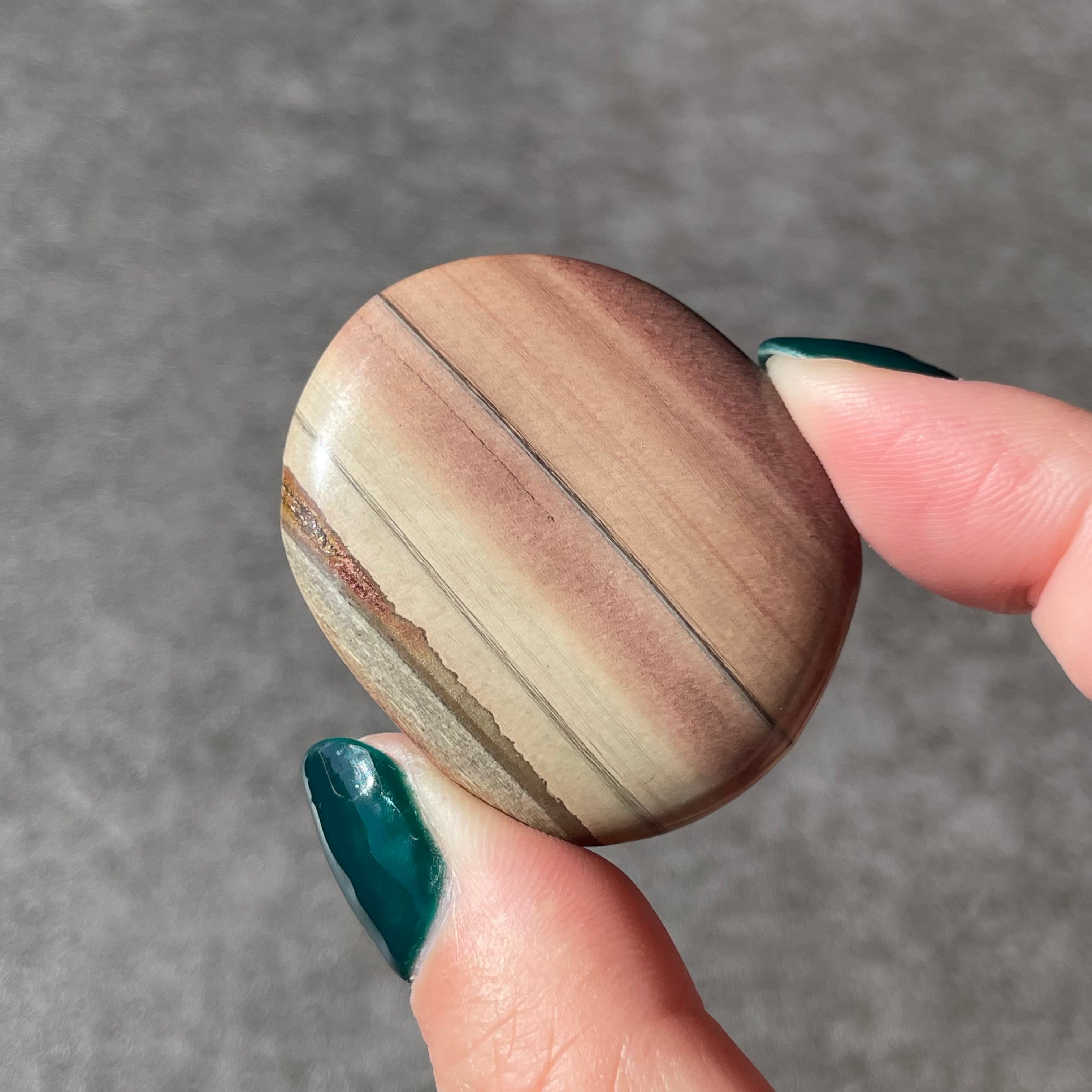 Zebra Stone ゼブラストーン|Palm パーム|天然石 パワーストーン 鉱物 gem stone