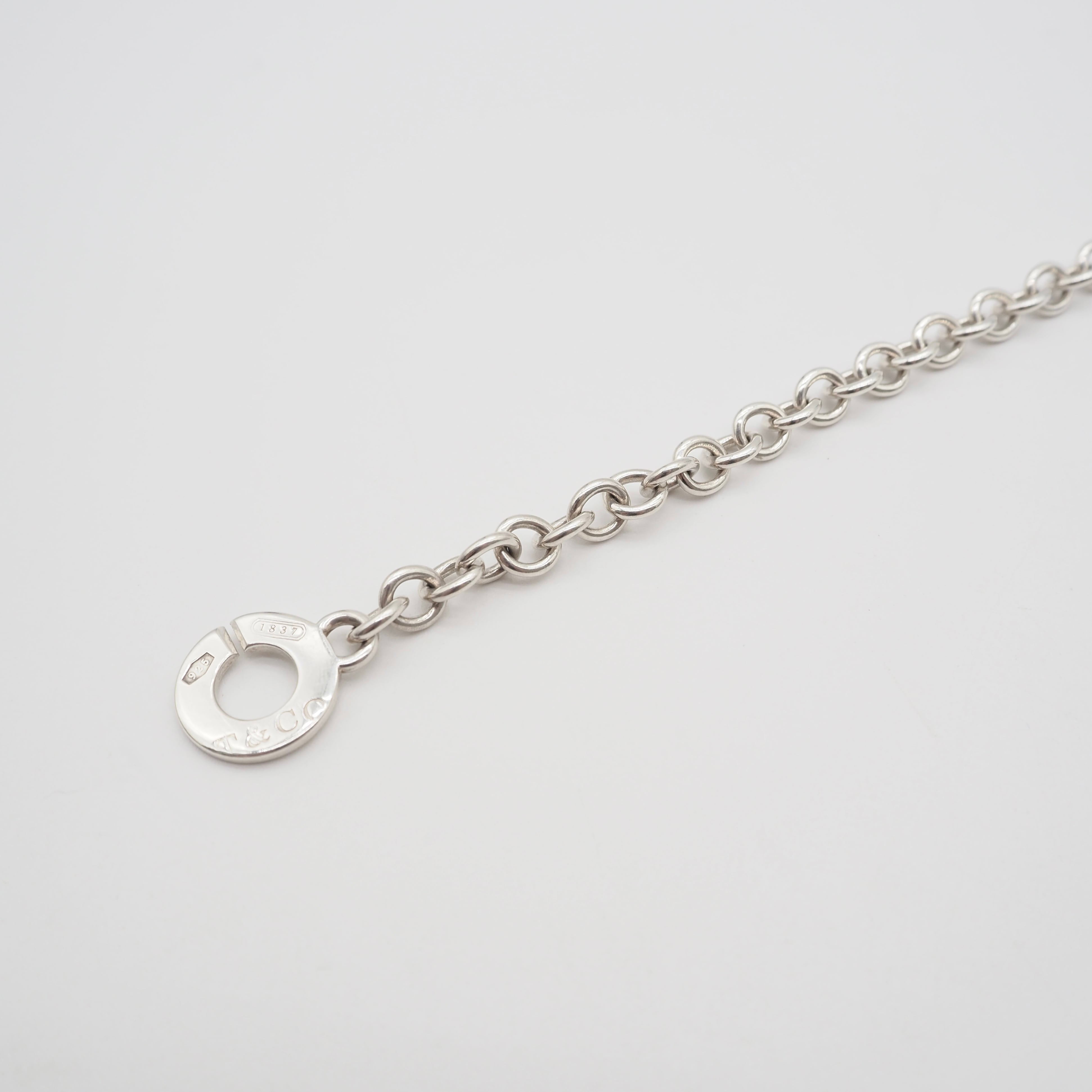 Tiffany&Co. 1837サークルクラスプ ネックレス シルバー925