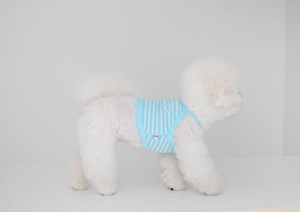 即納【THEREST OF LIFE】DAYS STRIPE CROP (AQUA/Mサイズ)
