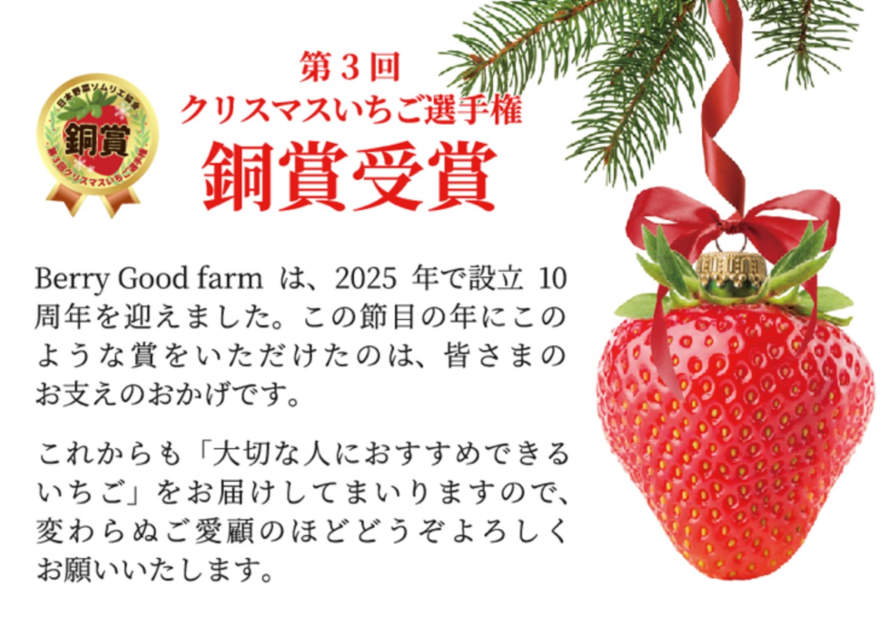 【銅賞受賞御礼《150箱限定！15％オフ＆送料無料》】原宿ベリーの大粒いちご(450g) 1/9より発送開始