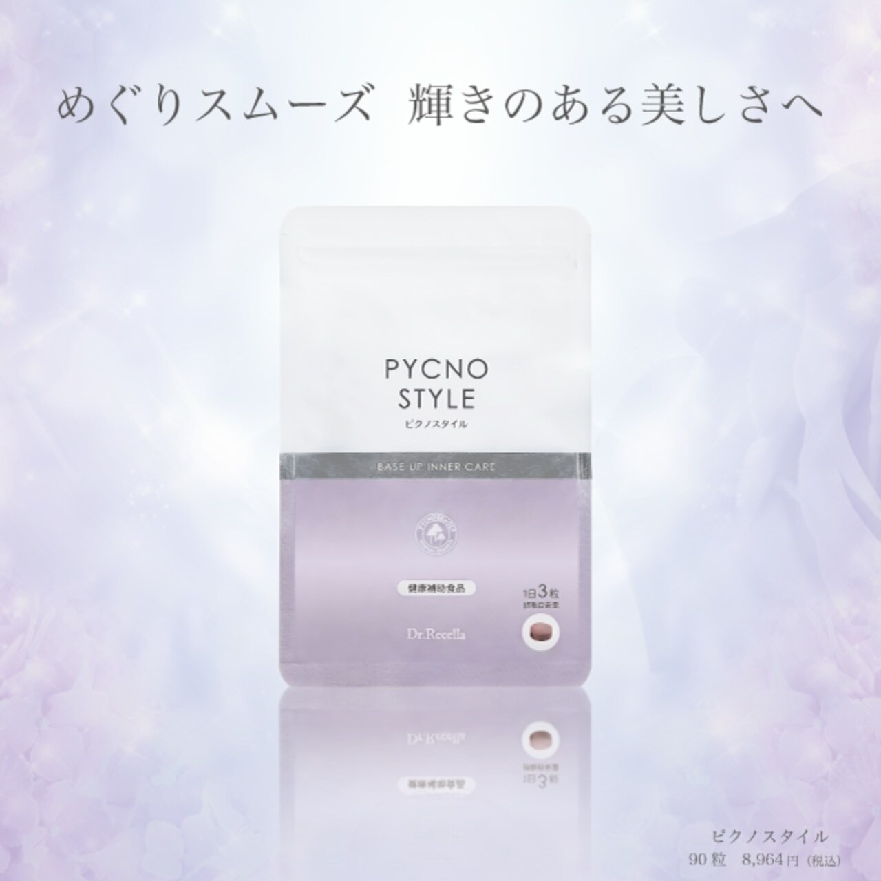 【2ヶ月に1回お届け】ピクノスタイル定期便