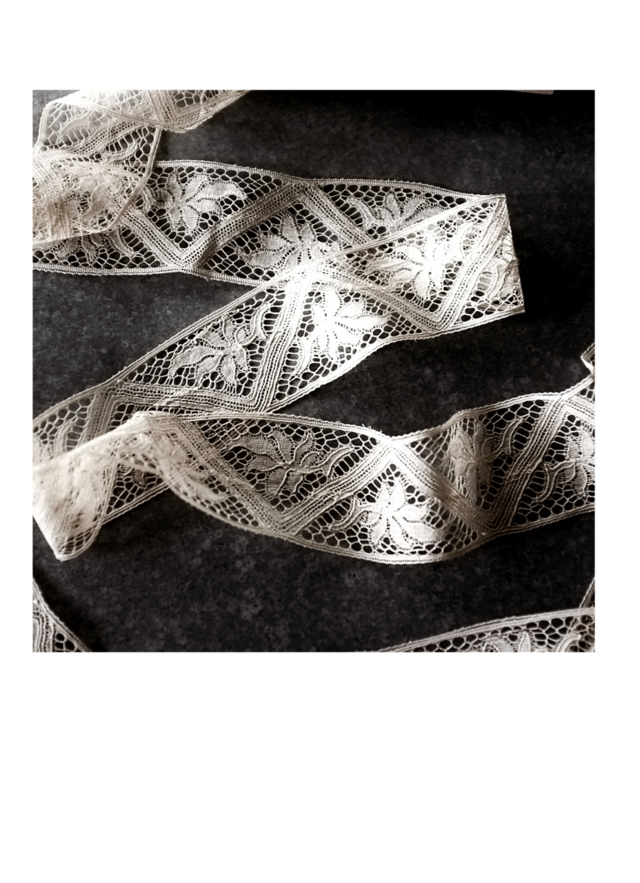 フランス 1900s イチジクの葉とエデン的アンティークレース 100x5.7c