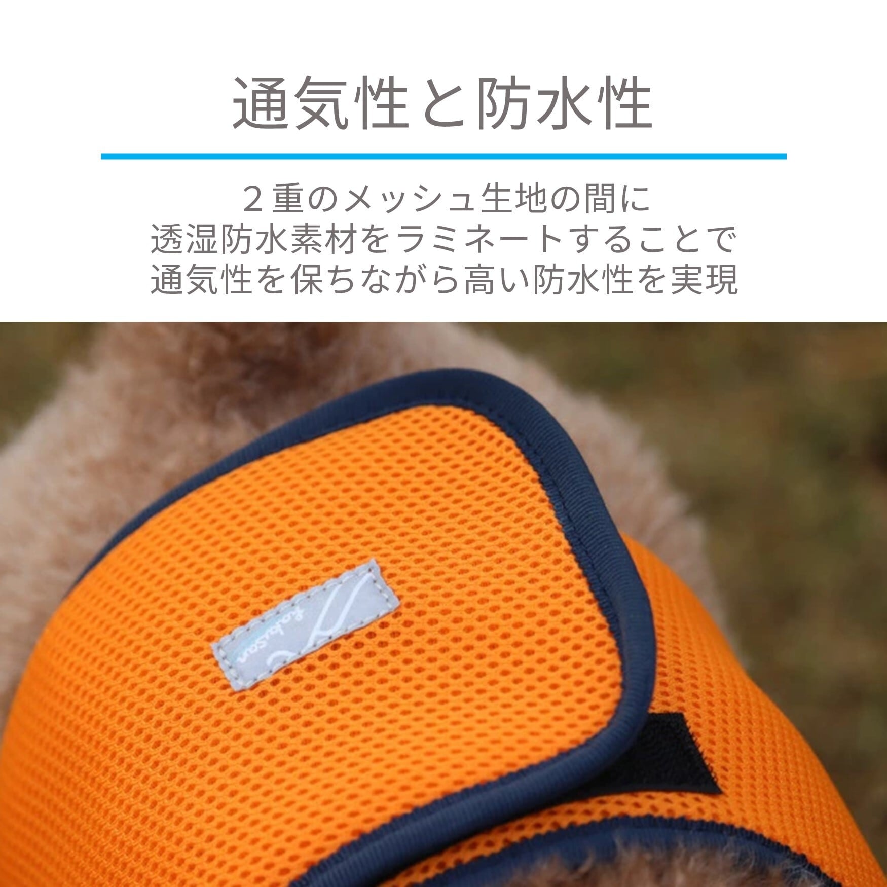Hakusan]こんなマナーベルトが欲しかった【ファーストマナーベルト