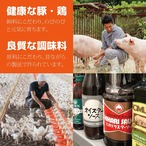 （冷凍）ととのう弁当　6食セット（6種類×各１食）組合せ内容は毎月変わります