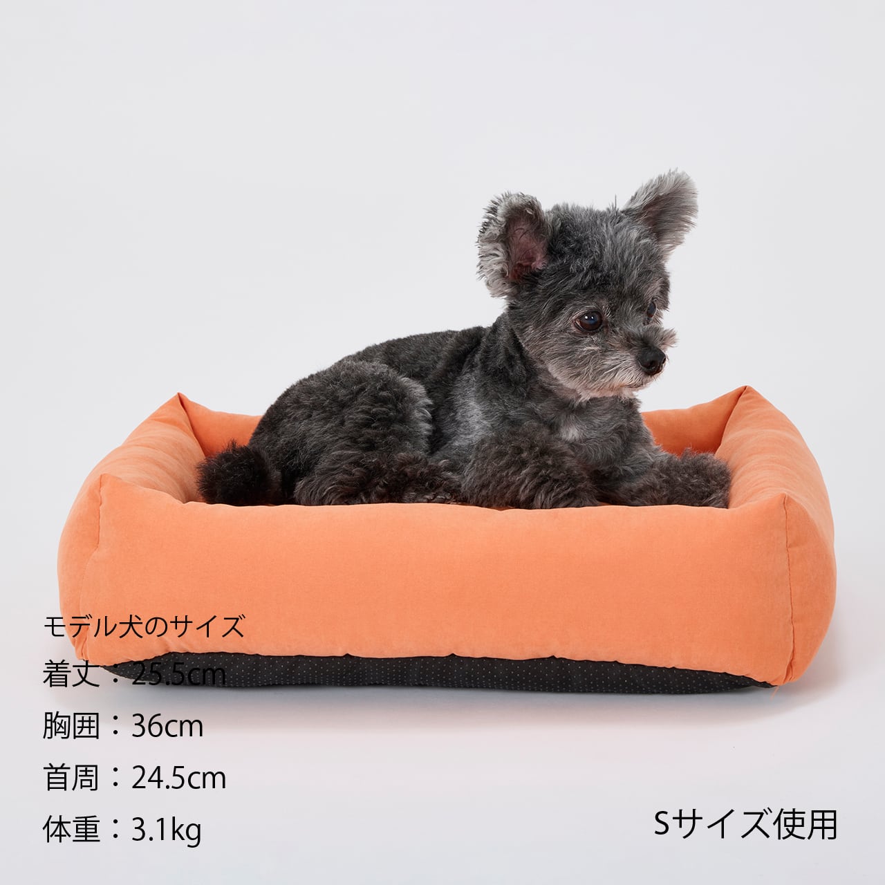 FLAT BED（M） フラットベッド | MANDARINE BROTHERS マンダリン