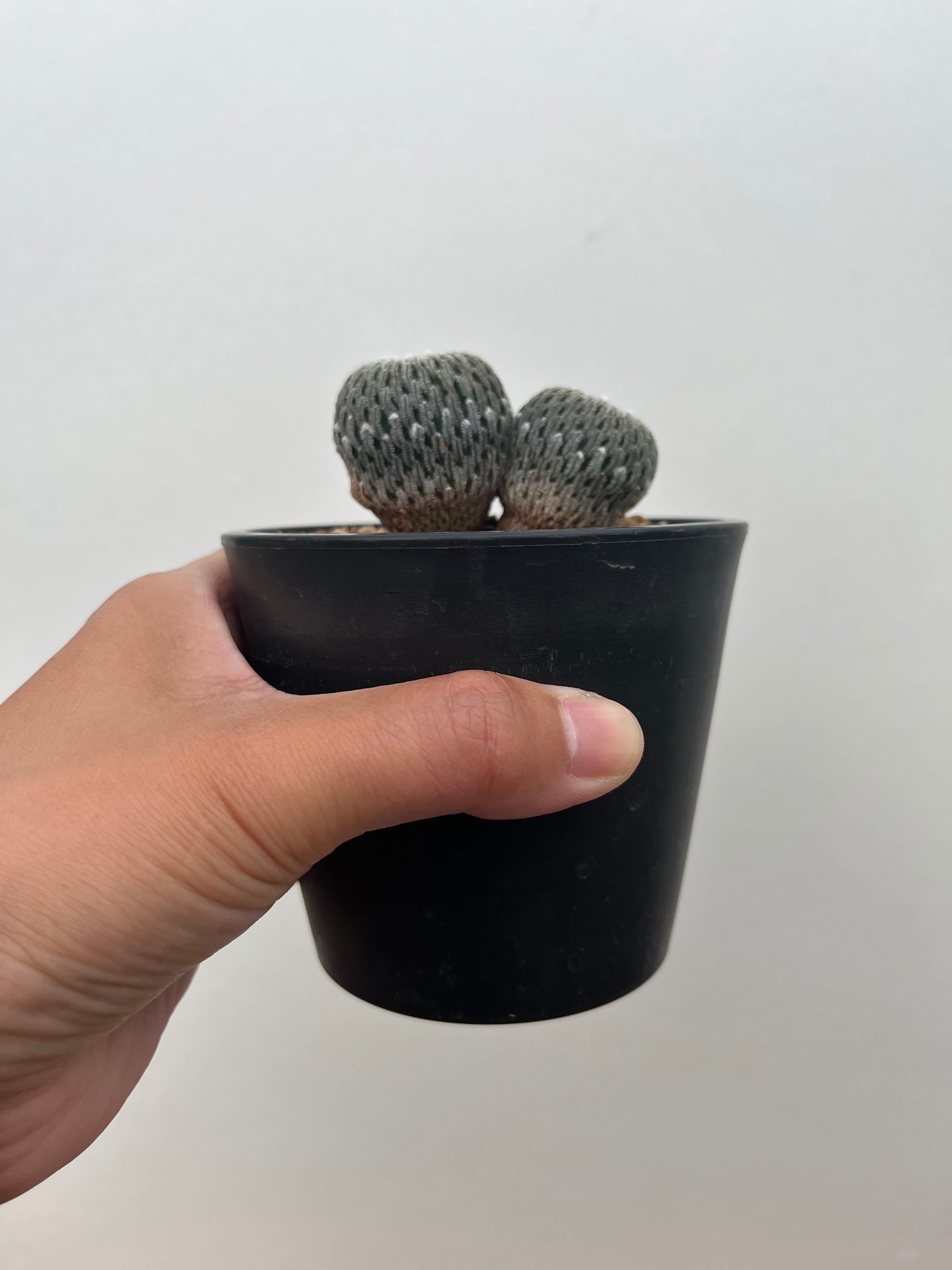 80550907c02dd2abc6c07c829993d7