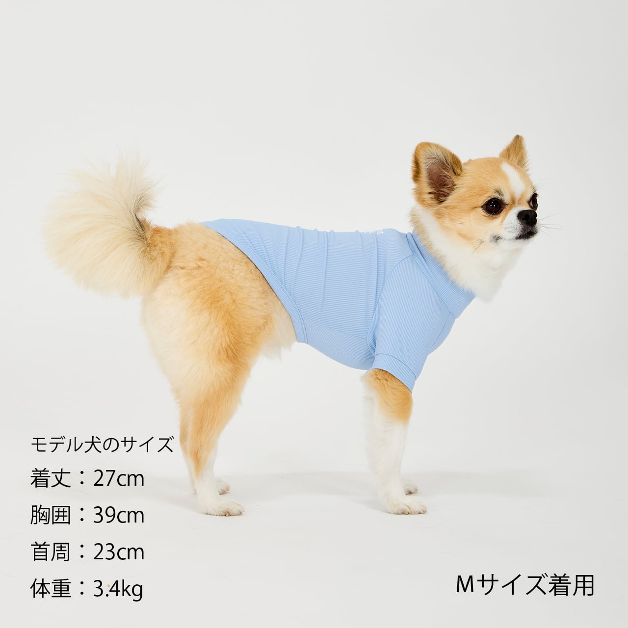 ちーじゃが(プロフ必読！！)ライトブルーMD②L①スキンタイトクールT INSECT SHIELD SKIN TIGHT COOL T-SHIRT（XS.S） インセクトシールド