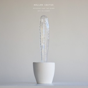 hollow cactus　アズレウス