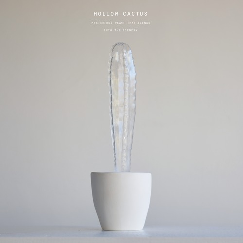 hollow cactus　アズレウス