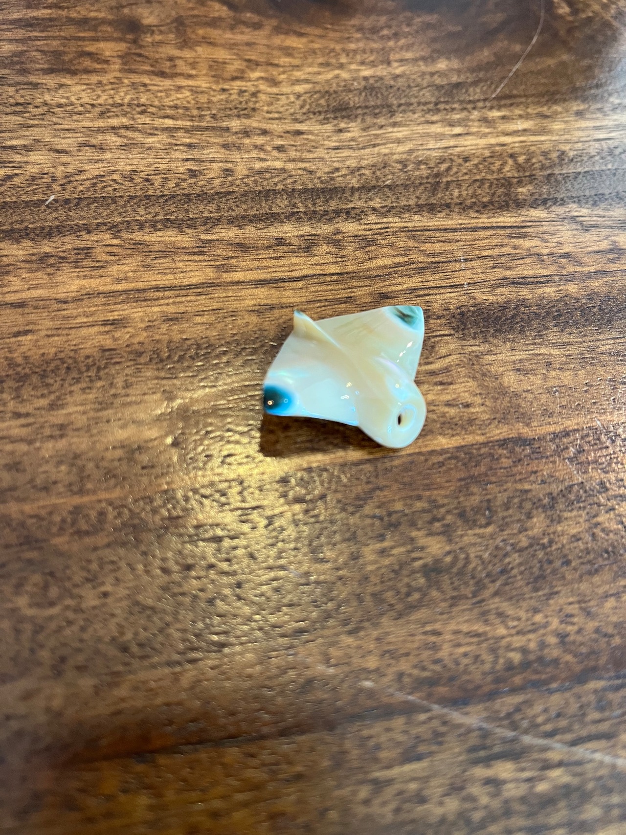 夜光貝マンタ　パーツのみ