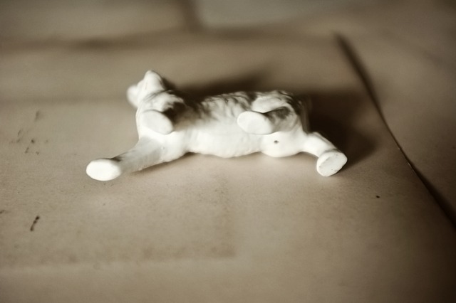 1900s フランス 永遠の硬化 赤い目と白うさぎのビスクドール アンティーク