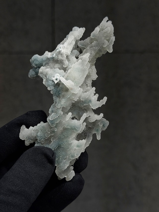 ブルーカルセドニーコーラル【ML-0176】インド