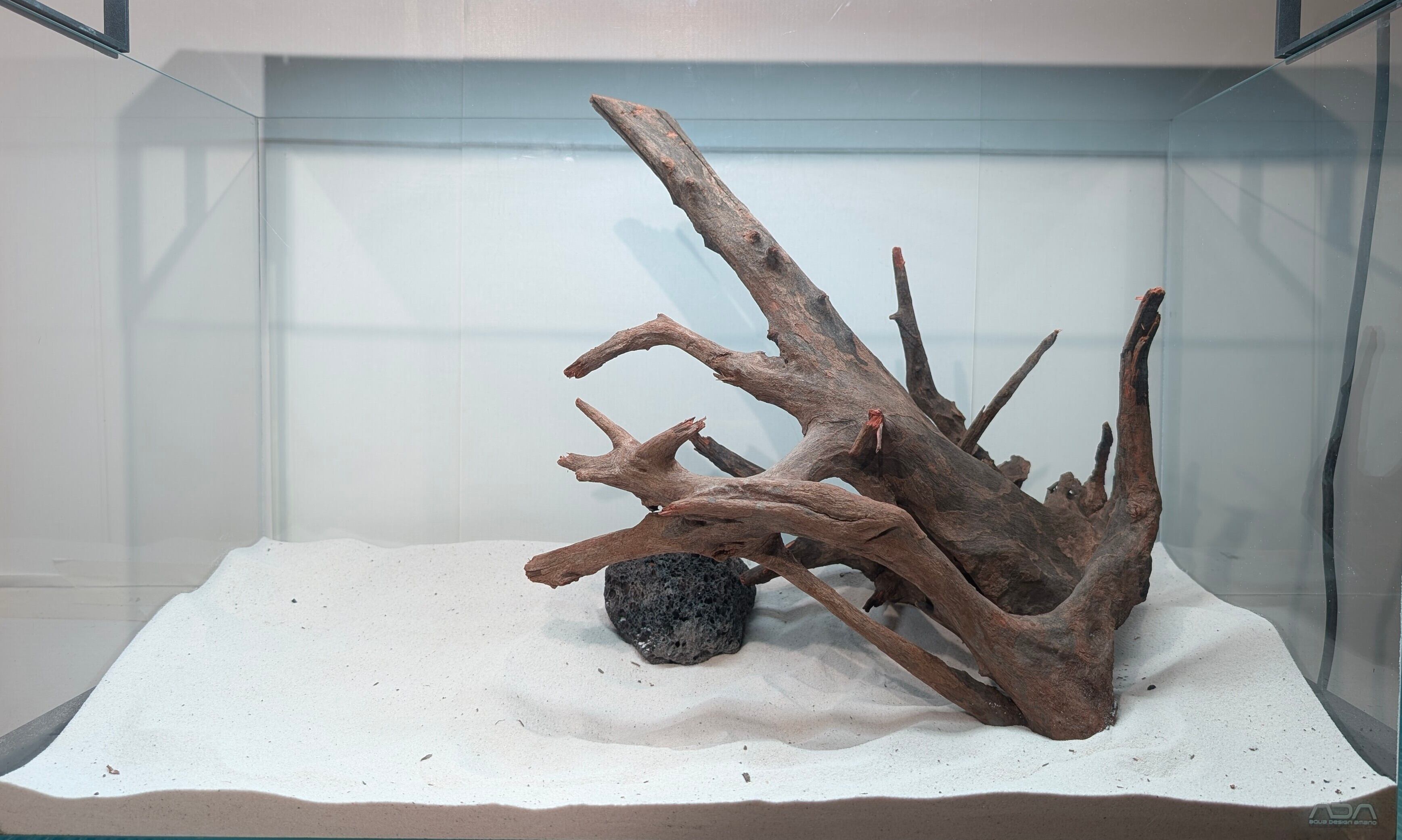 ブラックホーンウッドXL【BHW247】 アクアリウム 60cm水槽 ブラックホーンウッドXL【BHW247】 アクアリウム 60cm水槽