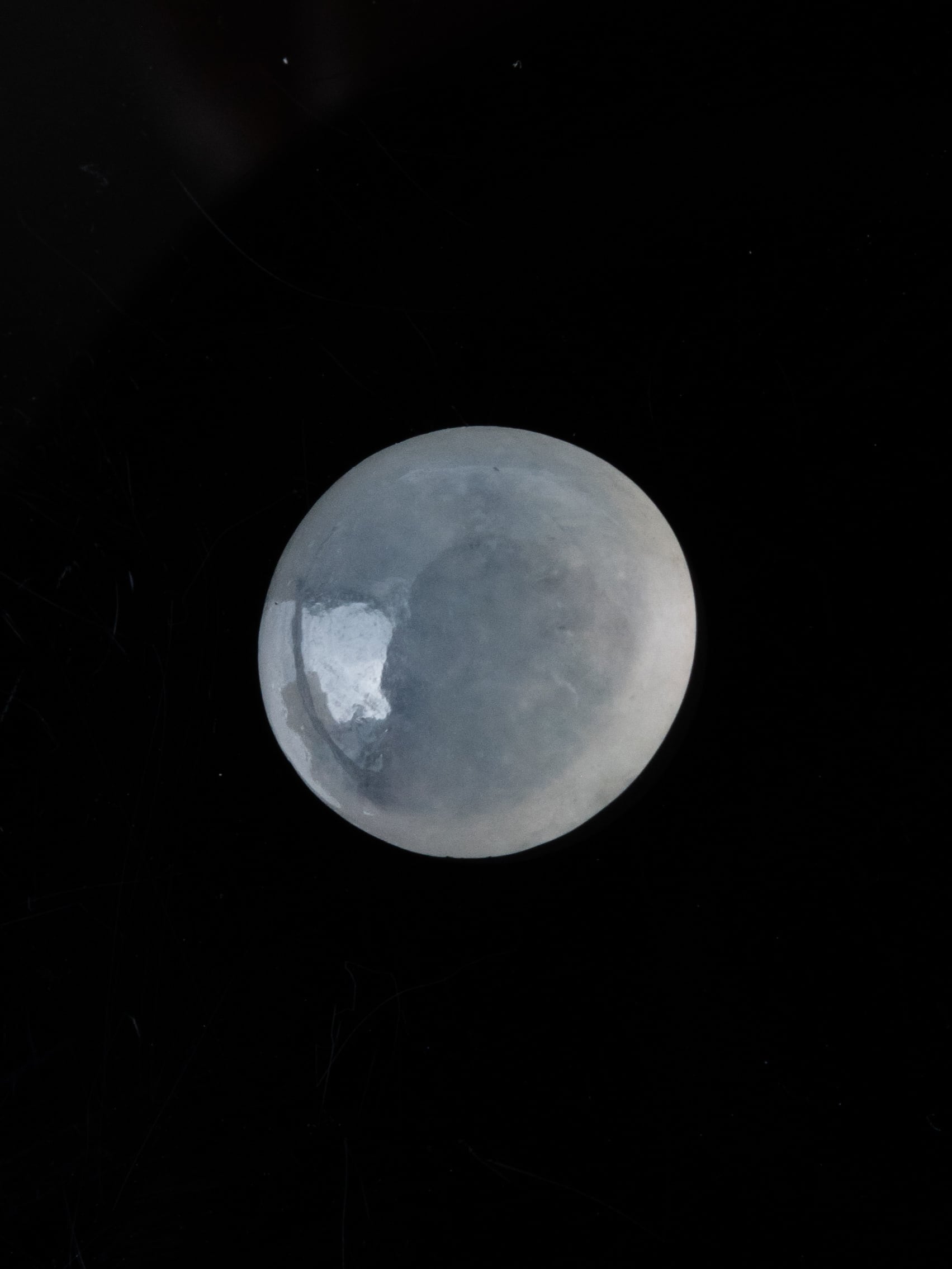 ア*ラ様 翡翠 猿 Bizarre/ビザール The seven deadly sins series Leviathan