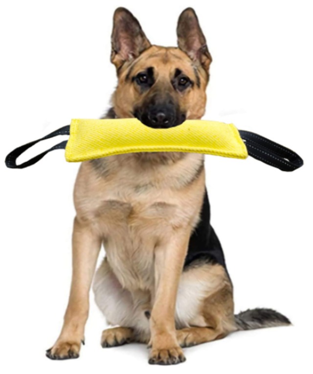 犬のおもちゃ　綱引きToy　かみかみおもちゃ　ロープオモチャ　歯磨き　大型犬　中型犬