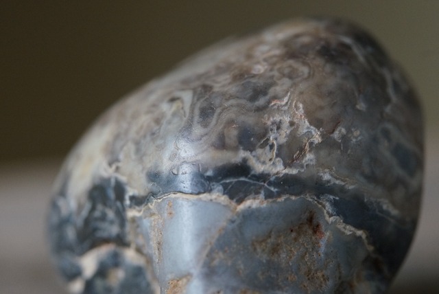 恐竜の胃石 Dinosaur Gastrolith