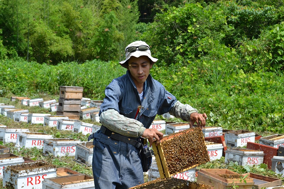 国産はぜのき蜂蜜 ［ボトル］ 200g | 非加熱 | 抗生物質不使用