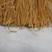 フラダンス 衣装 モレ Hula＆Tahiti ベージュ系 腰みの スカート タヒチアン ナチュラル 茶 鮮やか 華やか ハワイアン アロハ フラ ダンス レッスン 練習 モレスカート パーティー エスニック リゾート レディース おしゃれ 踊り デザイン