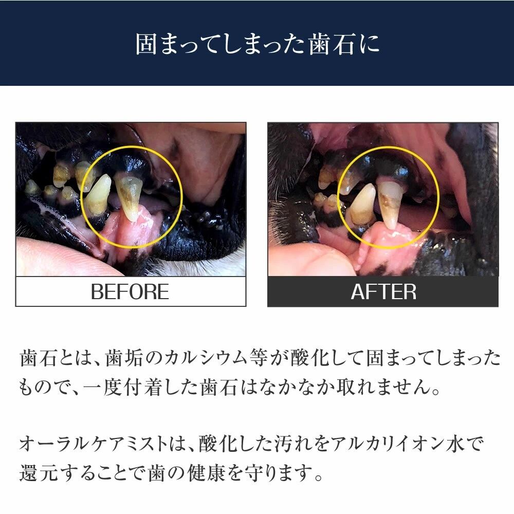 ペットケア用品 口臭 スプレー ORALCAREMIST 80mL | BUDDYPET