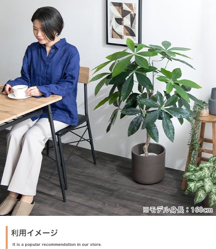 観葉植物 パキラ フェイクグリーン 光触媒人工観葉植物 高さ90cm | FIGARO