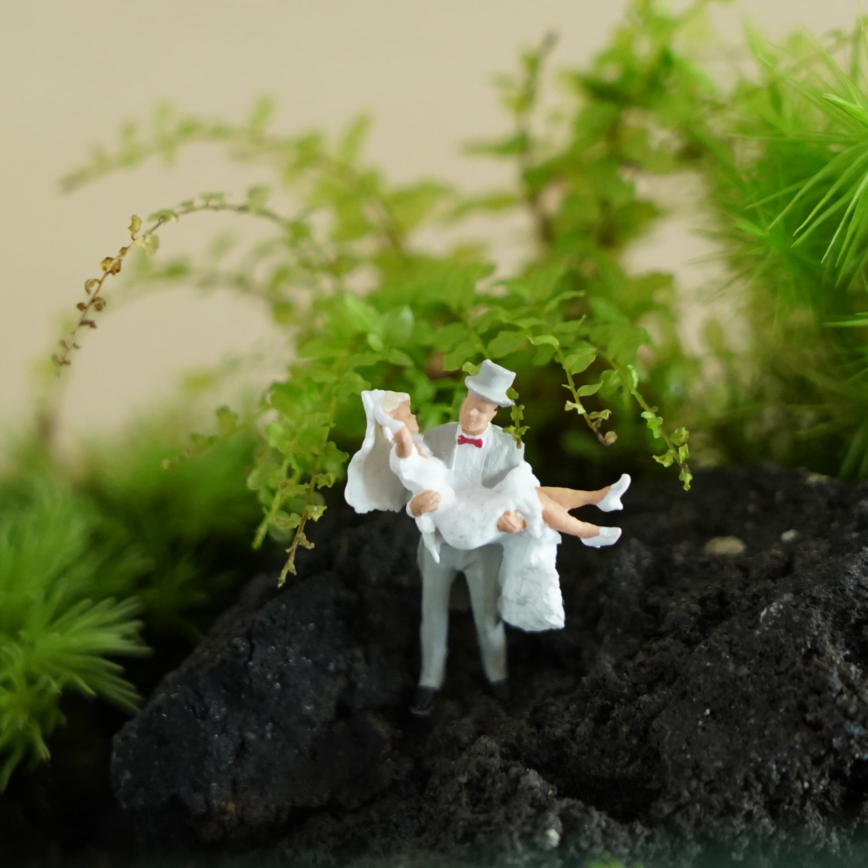 フィギュア】プライザー ウエディング | 苔テラリウム専門ショップ道草