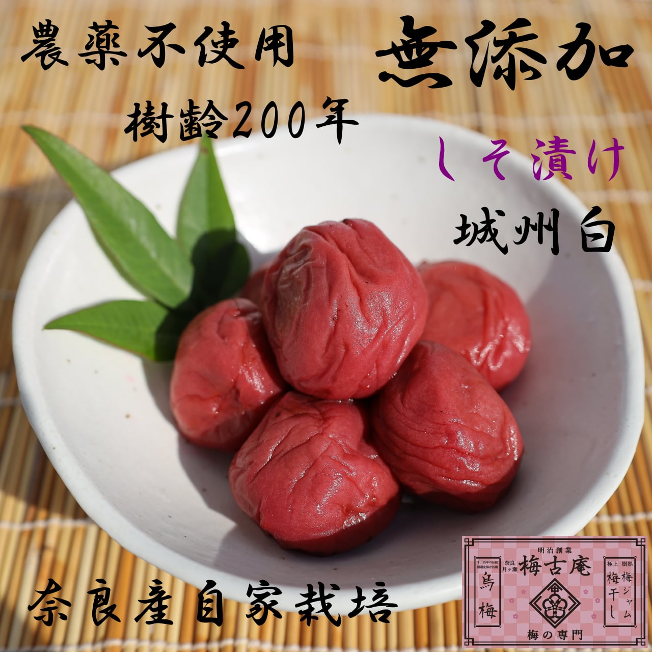 白加賀梅干し 160g 無添加  烏梅づくりの里 梅古庵