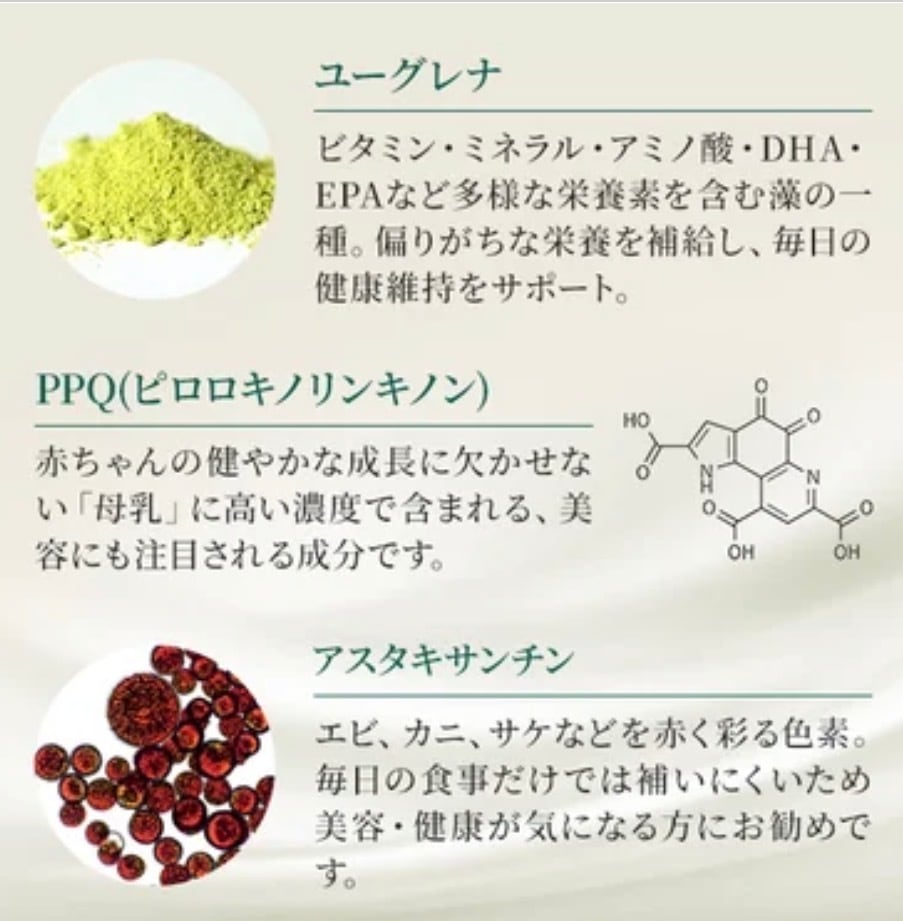 ワコナルビューティープレミアム 300g (3g×100本) | retrue online shop