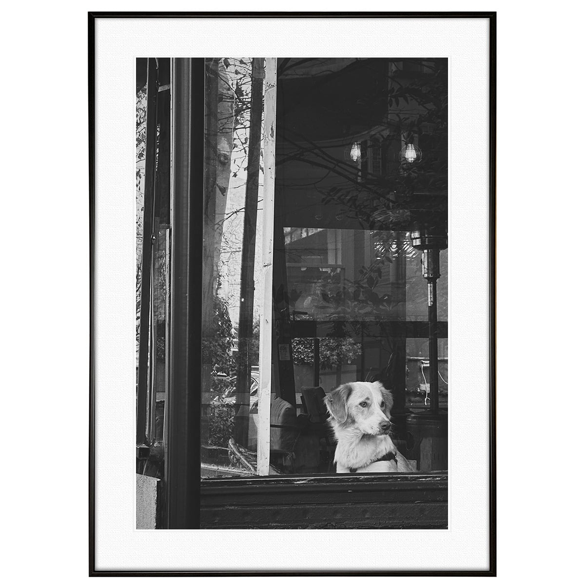 動物写真 窓の外を見る犬 インテリア モノクロアートポスター額装 AS4771