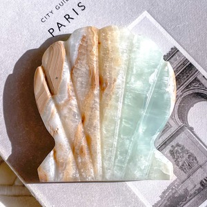 Caribbean Blue Calcite Shell 8 ✧ カリビアンブルーカルサイト