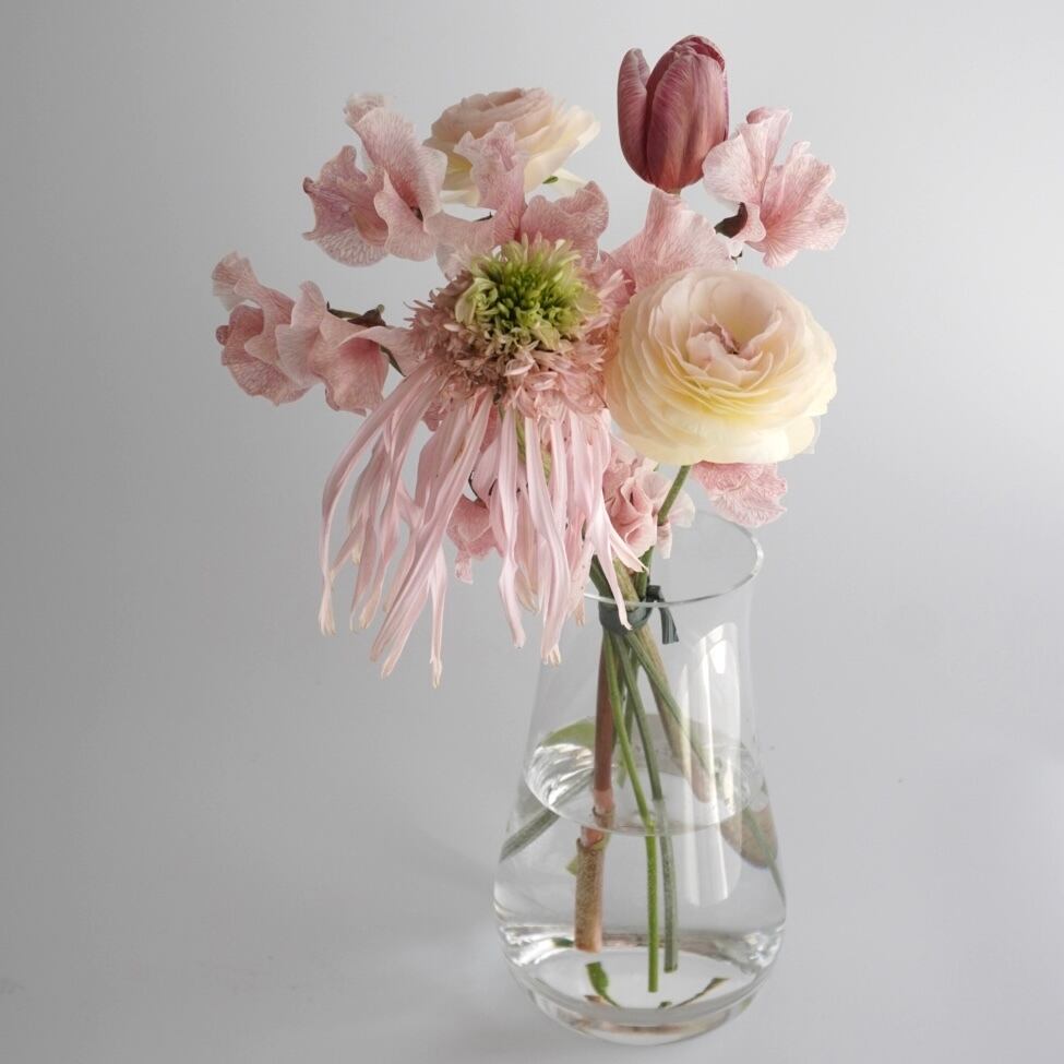 【3/20〜3/22限定】エキナセアのピンクの花束