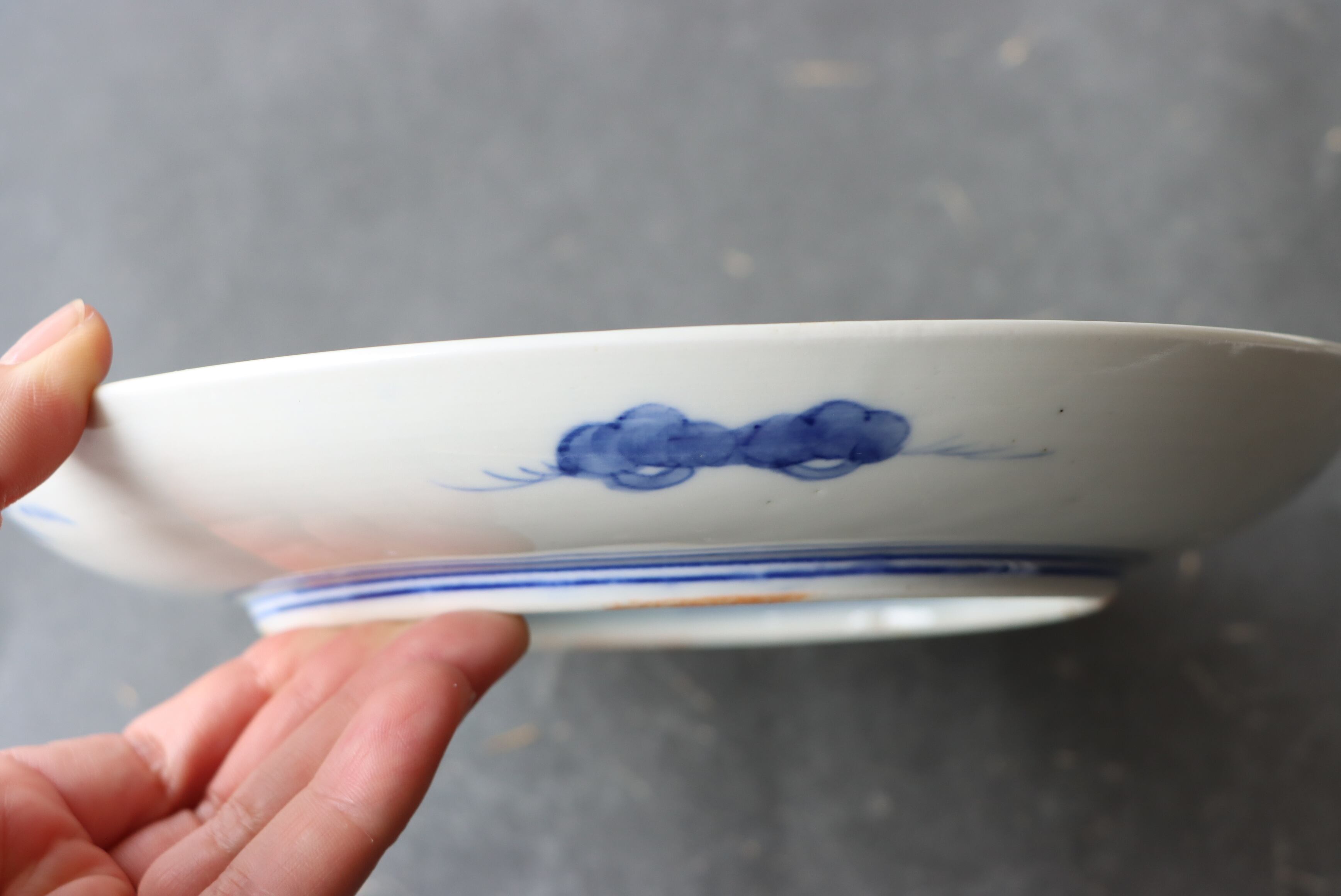 染付 阿蘭陀石竹文 中皿 七寸/Blue and white medium size plate | (有