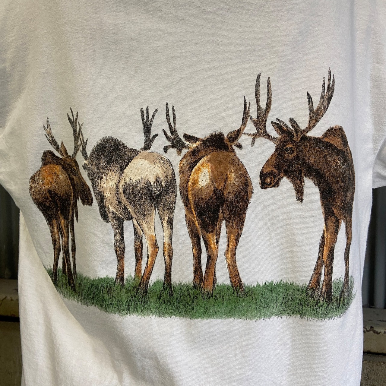 90年代 ヘラジカ アニマル アート 両面プリントTシャツ メンズL 古着 