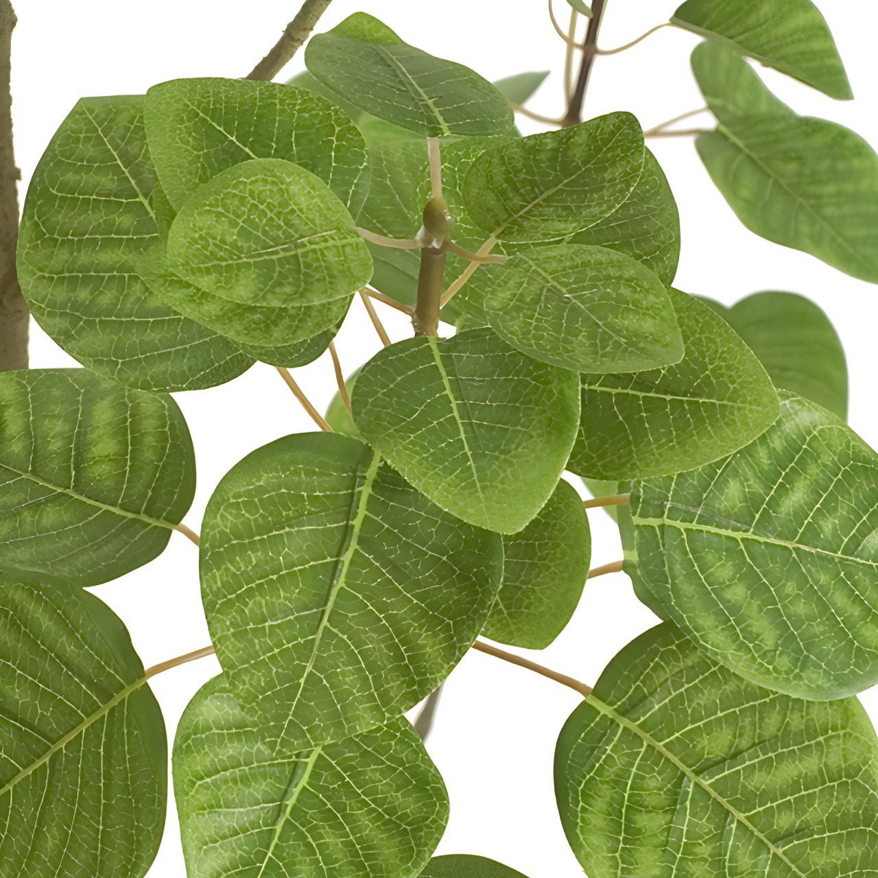 スモークツリー 160㎝［人工観葉植物・フェイクグリーンT］