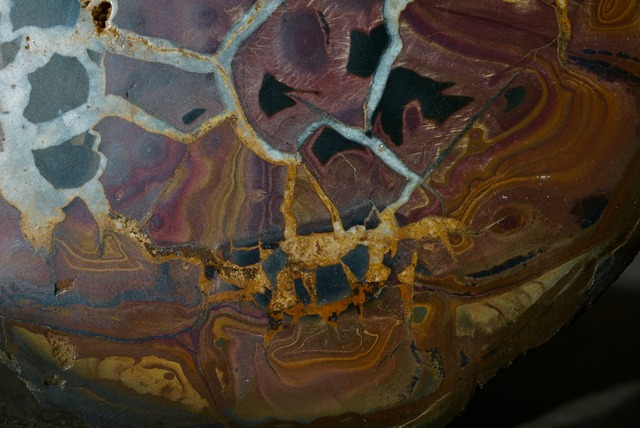 セプタリアン Septarian 1654