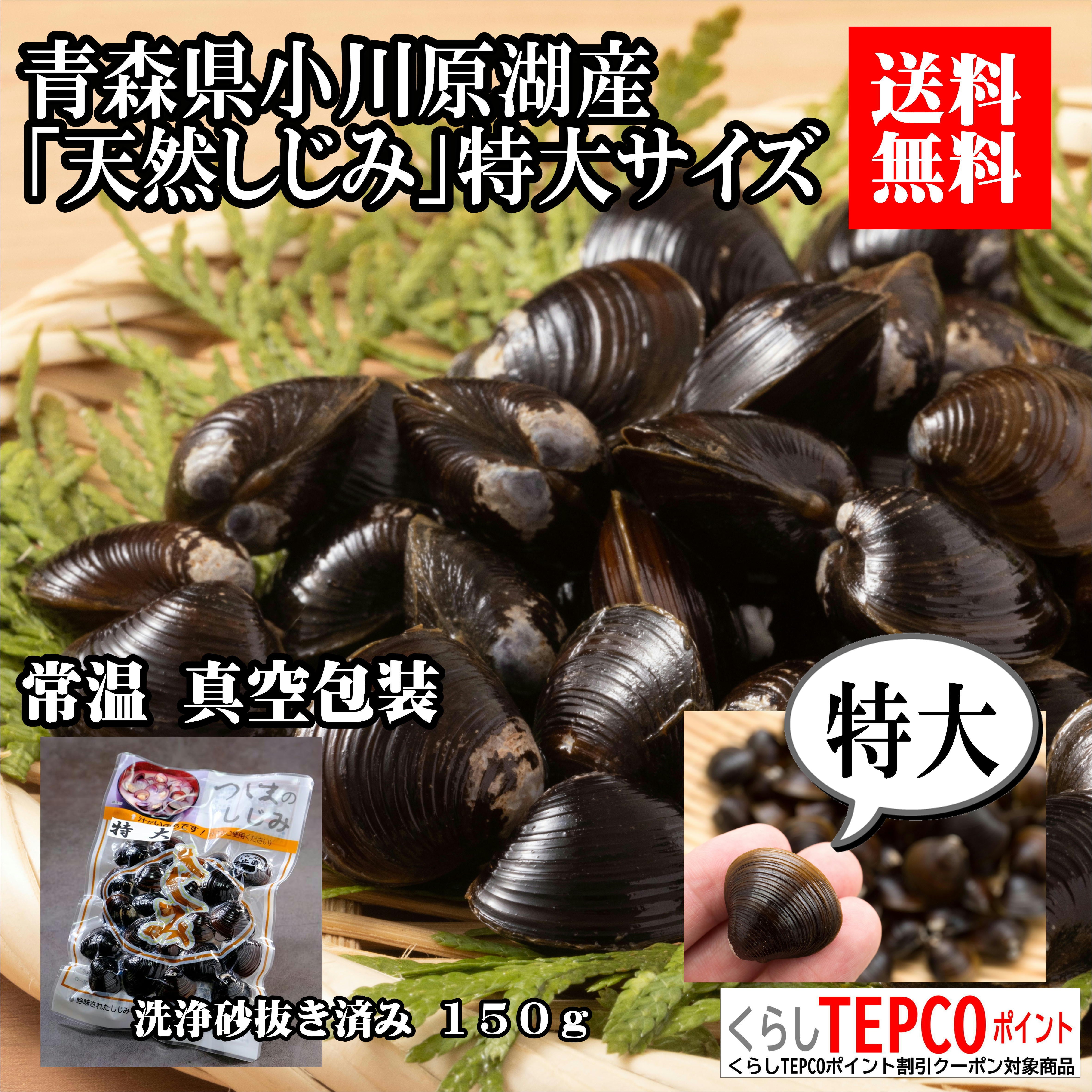送料無料】青森県 小川原湖産 特大しじみ（常温タイプ） | 常磐市場