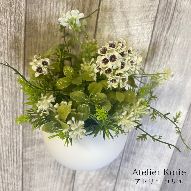 カタリーヌフラワー　コロン