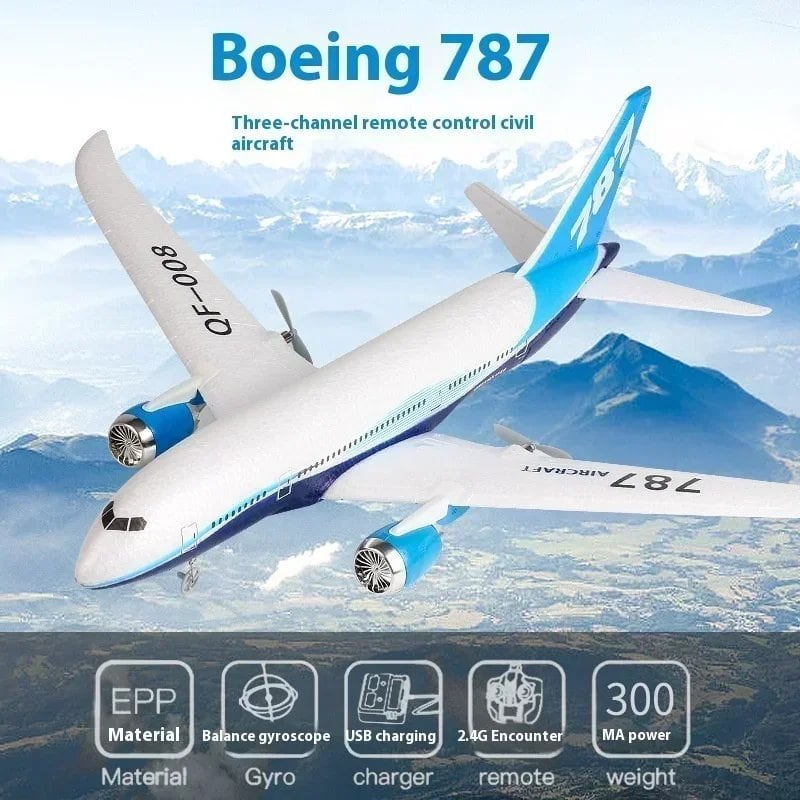 RC ボーイング 787 グラ??イダー Qf008 2.4 グラム電動 RC 飛行機 3