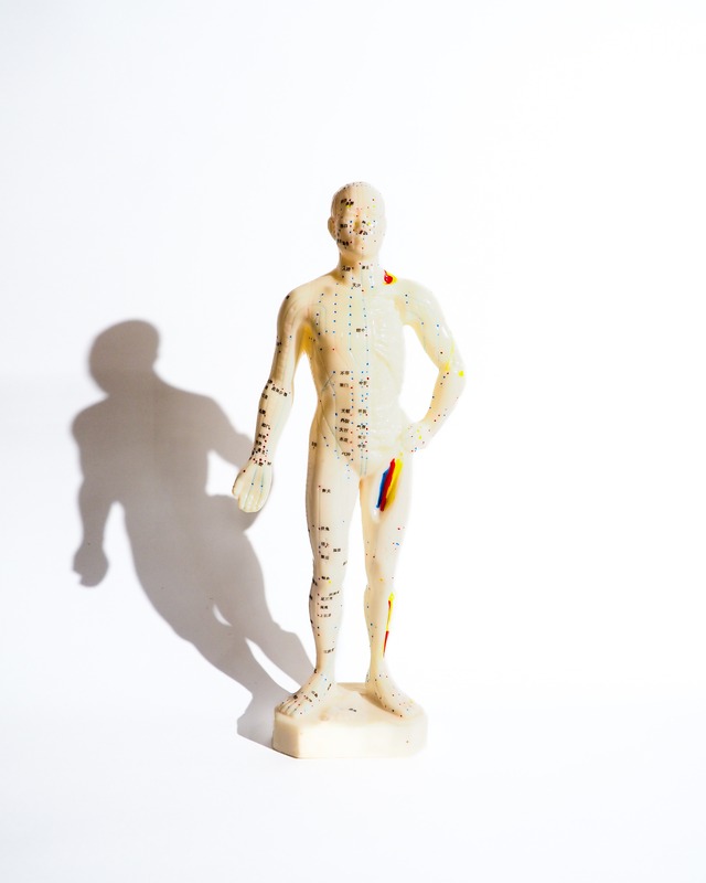 Acupuncture Treatment Soft Vinyl Human Body Model Doll