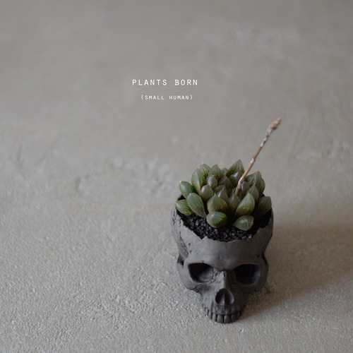 plants born （small human）dark gray ブラックオブツーサ