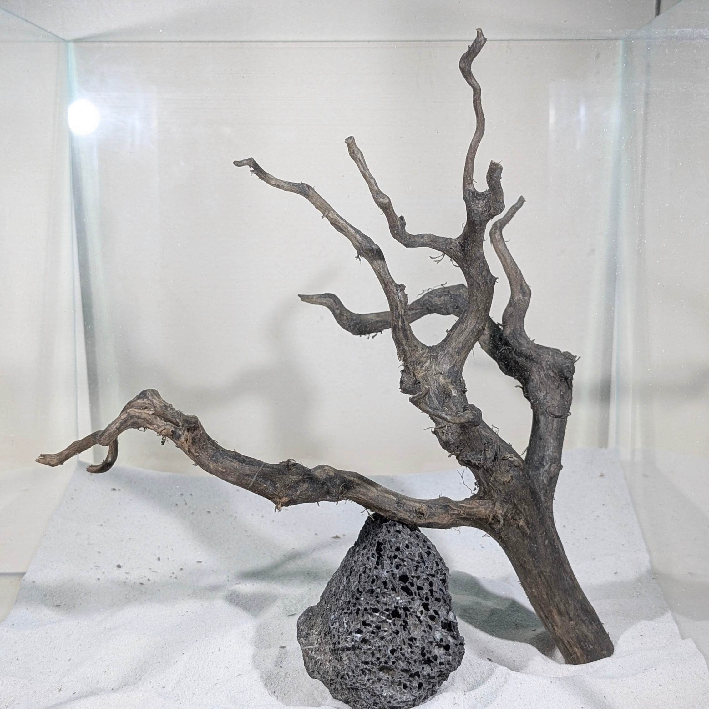 ペットの流木 水宗工房