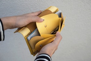 多彩な長財布　LONG WALLET:P / BRICK RED