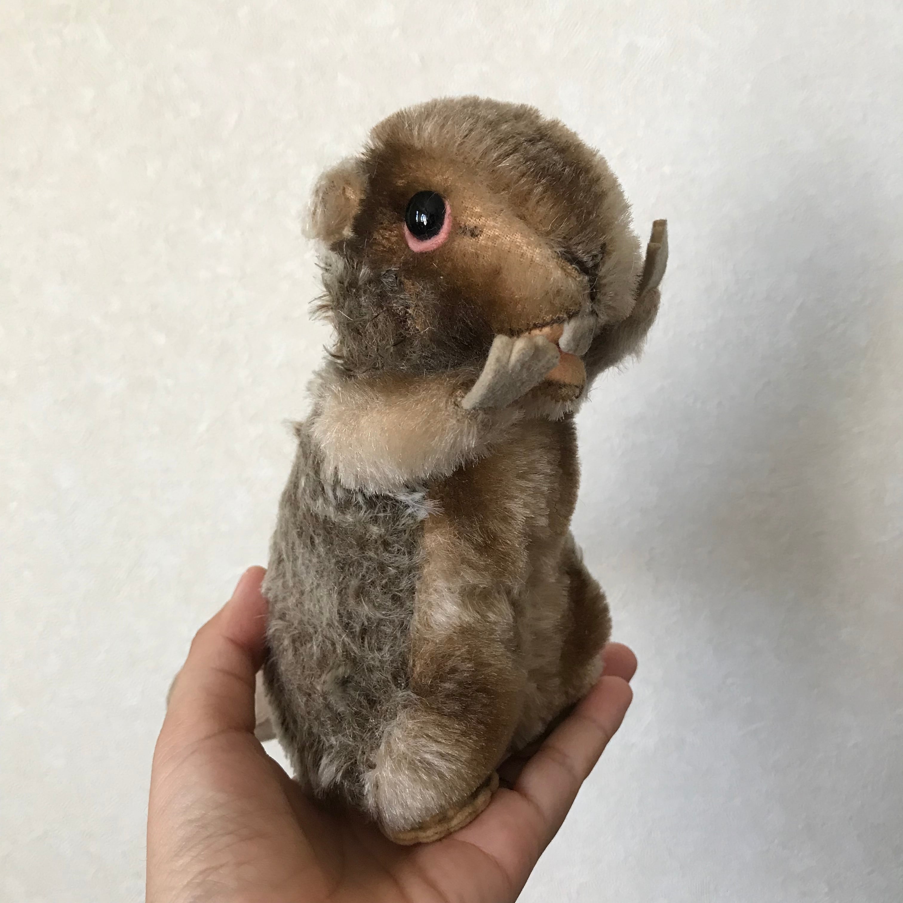 シュタイフのビーバー