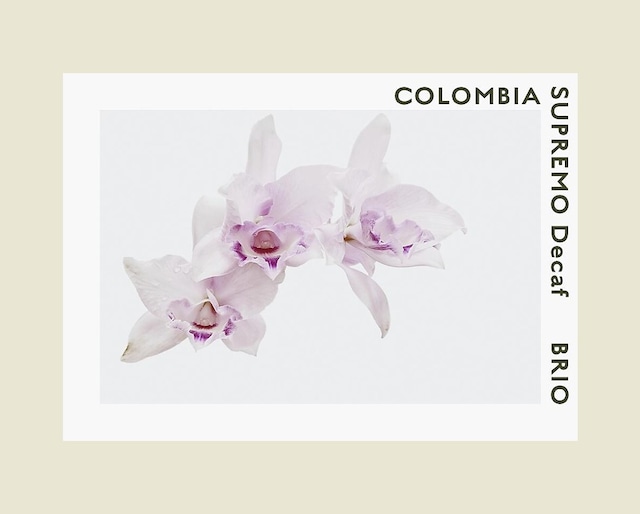 コロンビアカフェインレス　COLOMBIA SUPREMO Decaf（カフェインレス）   150g/300g　中煎り